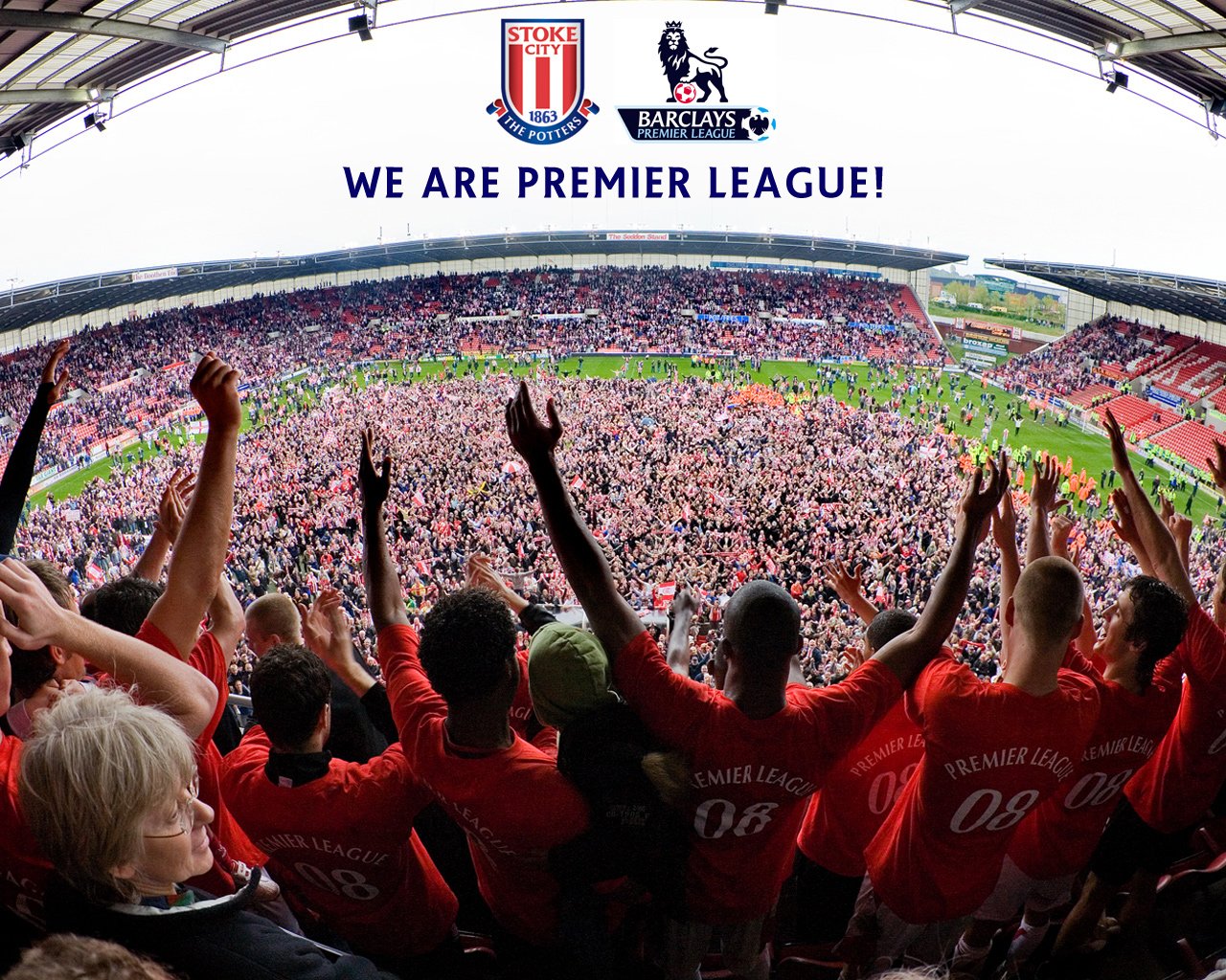 他们更像是 他们更像是