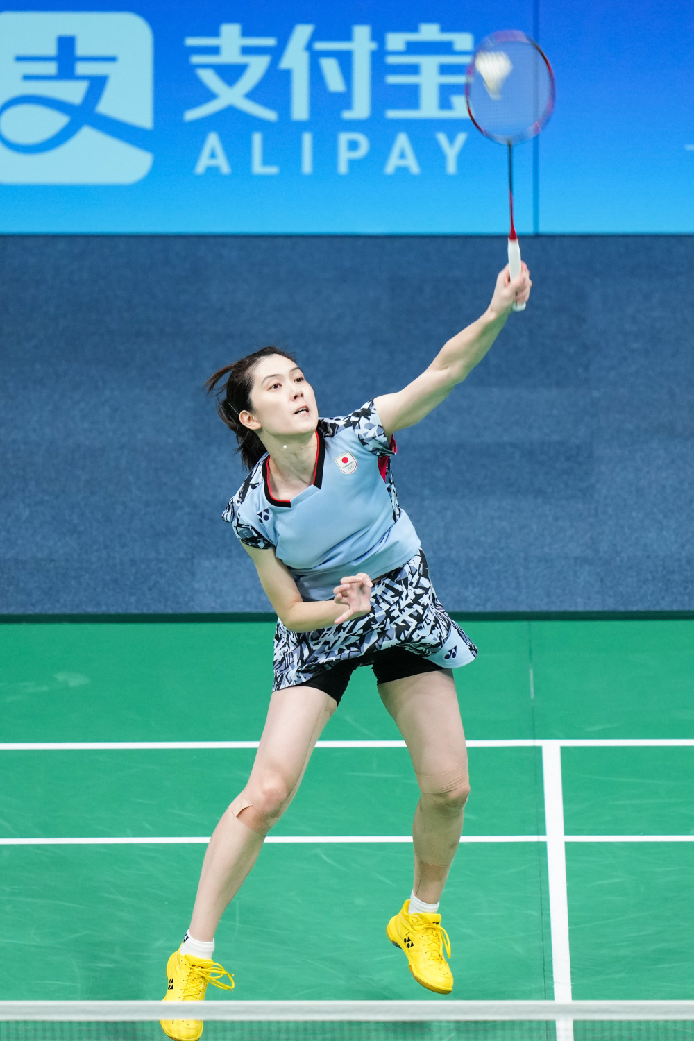 吉迪凭借精 吉迪凭借精