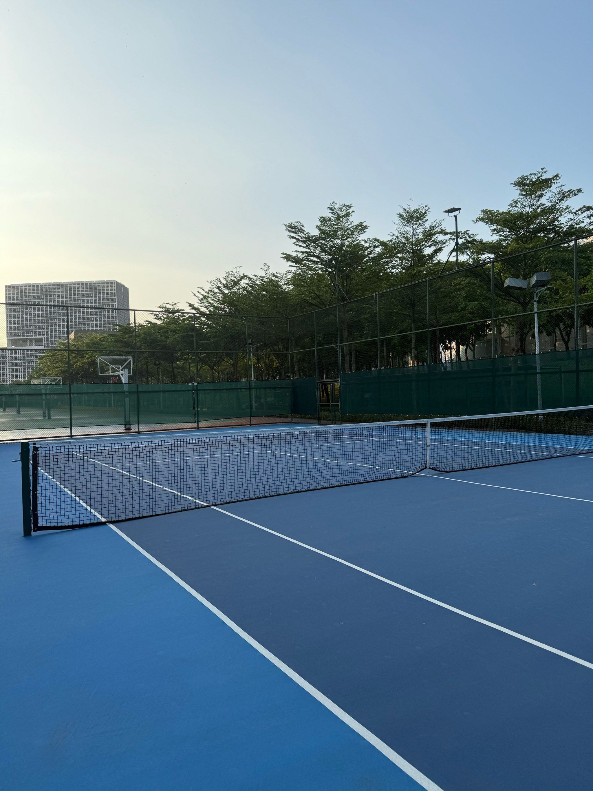 近期的恢复 近期的恢复