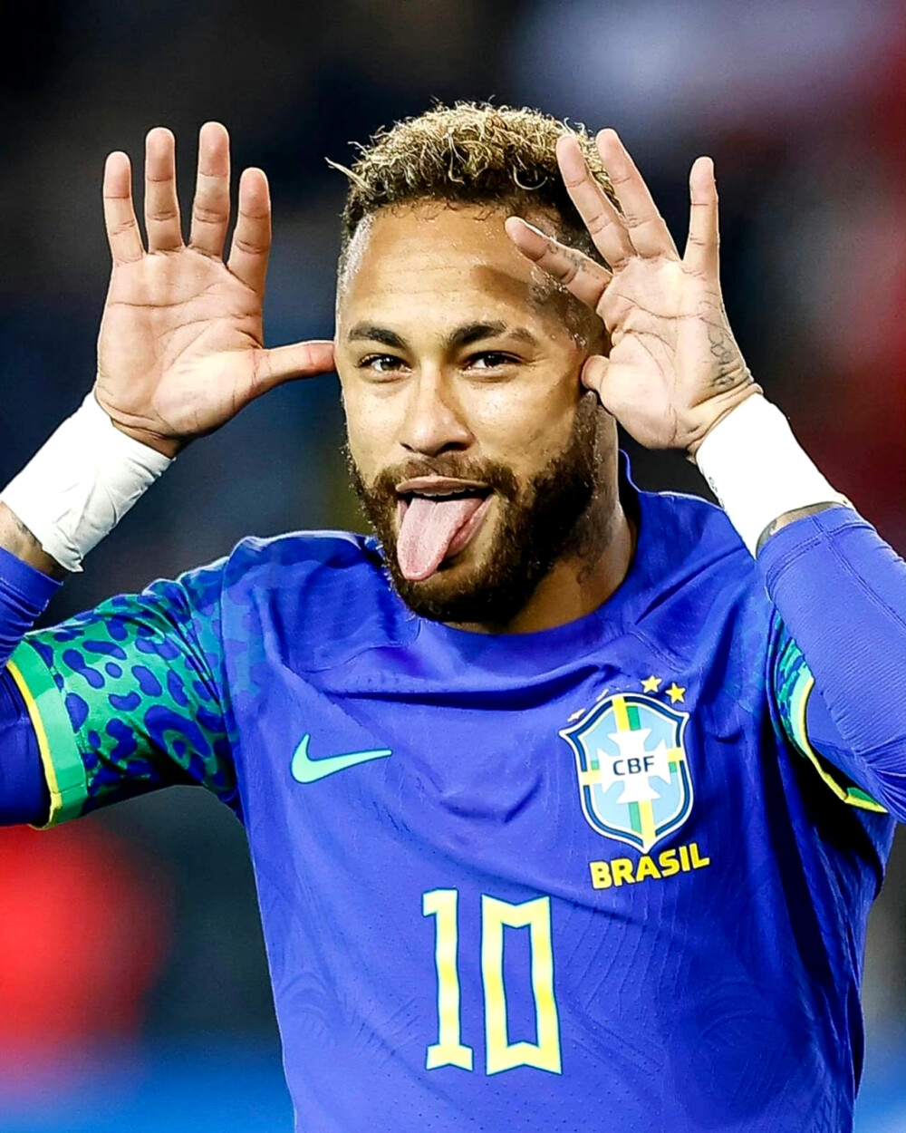 通过建立健 通过建立健