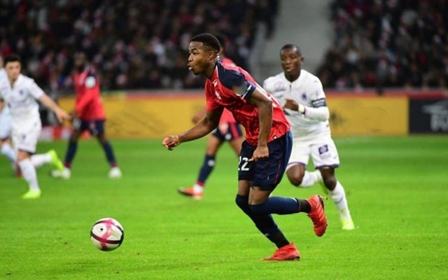 在争议的判 在争议的判