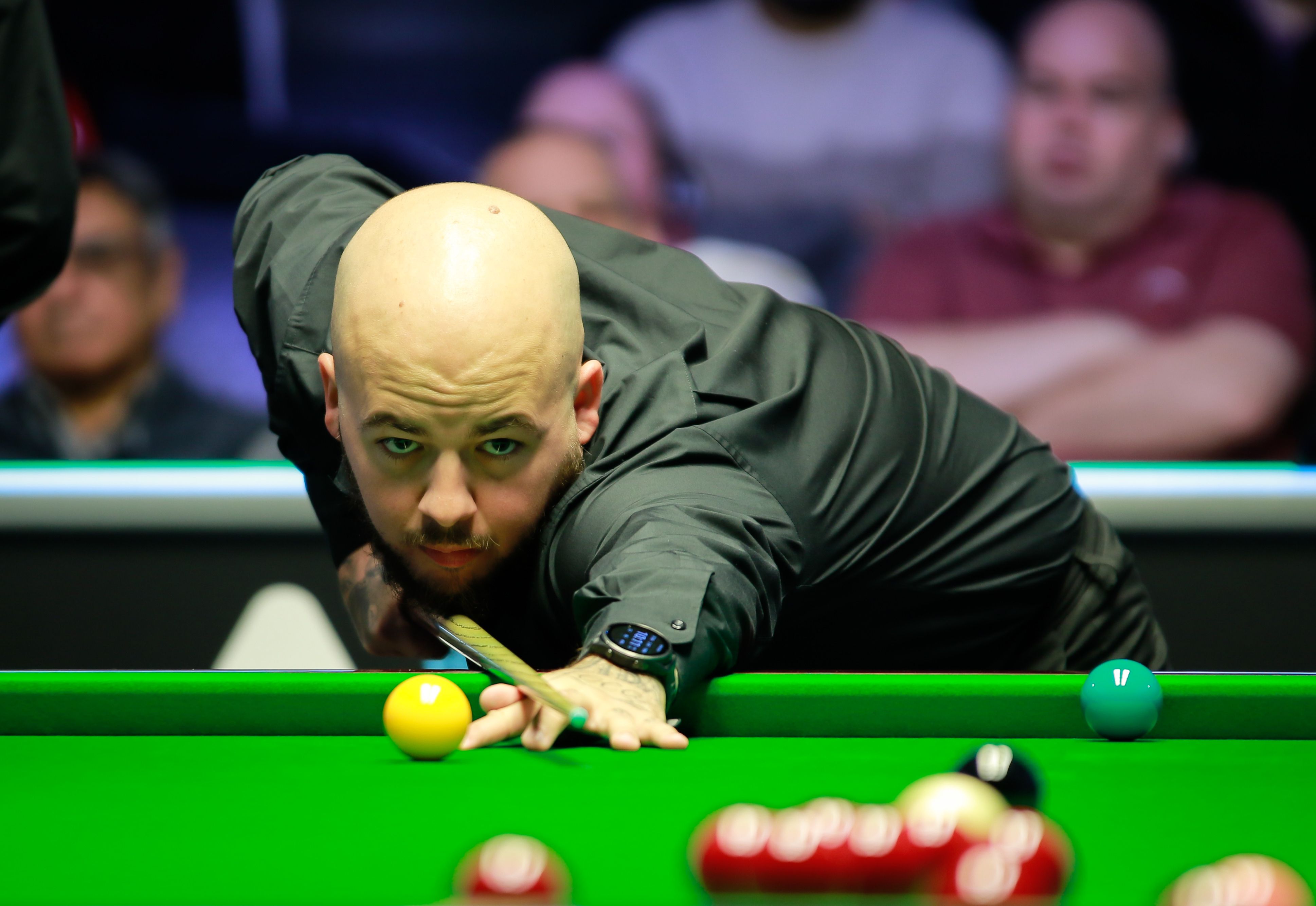 迅速吸引了 迅速吸引了